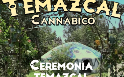 Temazcal Cannabico