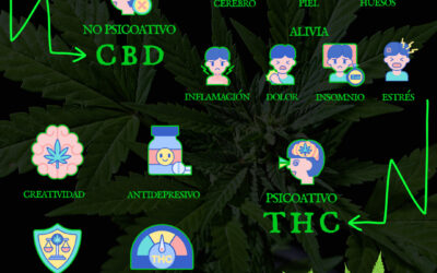 CBD vs THC (Propiedades y diferencias)