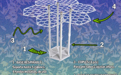 ¿Cómo se compone mi Honeycomber 1000?